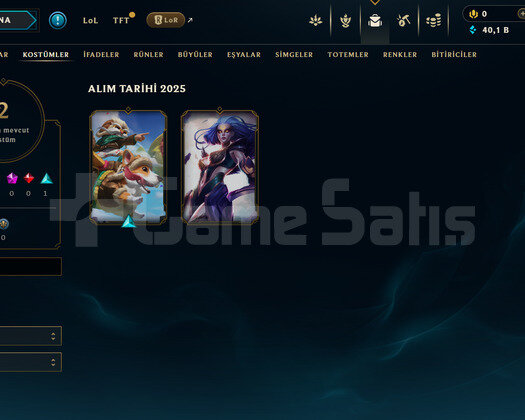 EUW Silver 2 | 2 Kostüm - 40K Mö | LoL Hesap
