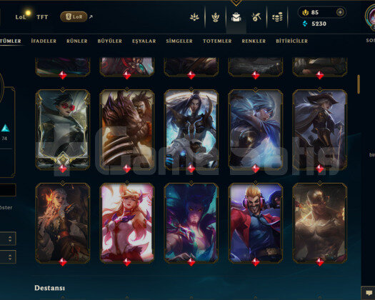 TR 141 SKİN BRONZ HESAP - LOL