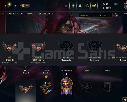 TR 141 SKİN BRONZ HESAP - LOL