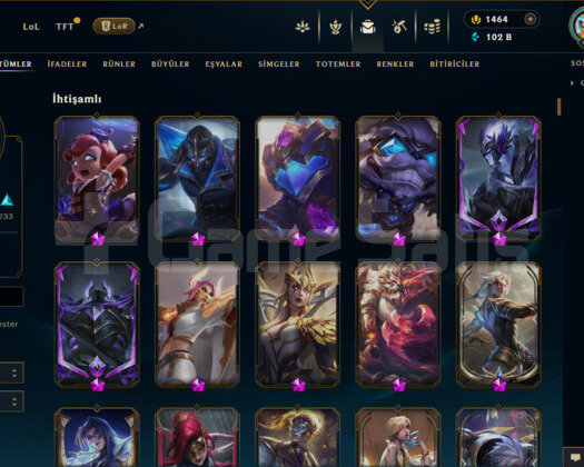 EUW 521 SKİN LOL + 29 SKİN VALO