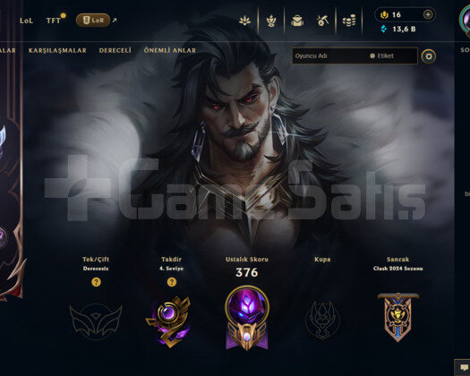 EUW 73 SKİN UNRANKED HESAP