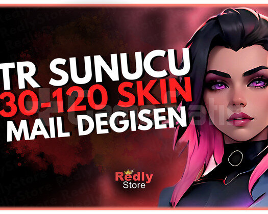 KESİNTR SUNUCU 30-120 SKİN MAİL DEĞİŞEN/GARANTİ