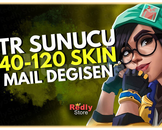 KESİNTR SUNUCU 40-120 SKİN MAİL DEĞİŞEN/GARANTİ