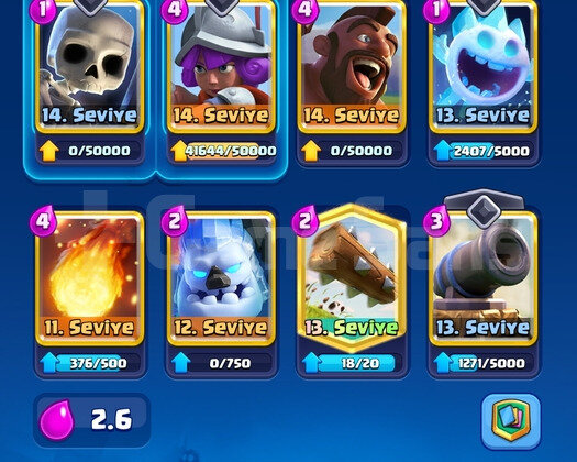 6000 KUPA & 4 MAX KART | 2.6 BİNİCİ - 37 LV CR  -