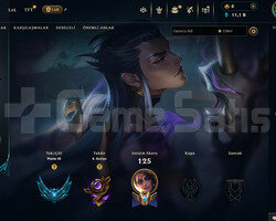 EUW Plat 3 | 4 Kostüm - 40 Hero | LoL Hesap