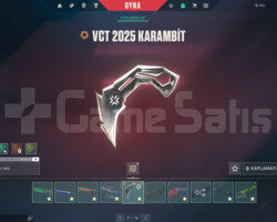 VCT 25 KARAMBİT/CHAMPIONS 24 SET MAİL HESAP