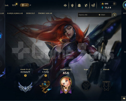 EUW 47 SKİN GÜMÜŞ HESAP