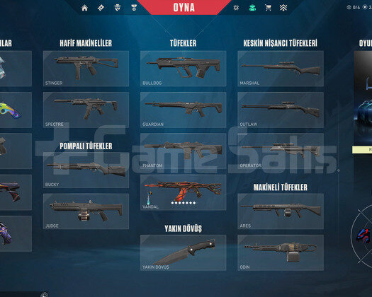 GAİA VANDALLI SMURFLUK ACC!