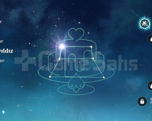 C1 ESCO BİS VE NAVİA BİS