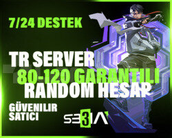 +3BIÇAKLI TR SUNUCU 80-120 V.İ.P RANDOM