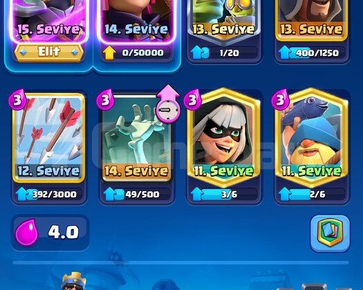 7500 Kupalı 4 Evrimli Hesap