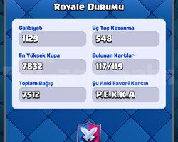 7500 Kupalı 4 Evrimli Hesap