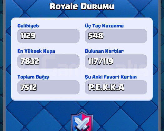 7500 Kupalı 4 Evrimli Hesap