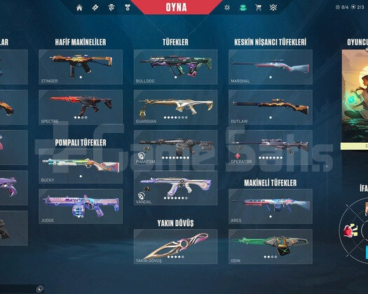 Yücelik 2 Skinli Valorant Hesabı