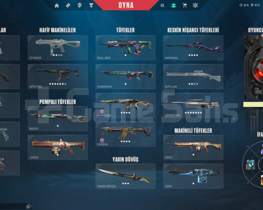 CHAMPIONS 24 SET/EXO/ARCANE/YAĞMACI MAİL HESAP