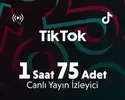 TikTok 1 Saat 75 Adet Canlı Yayın İzleyici