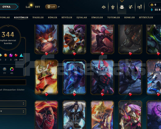 541 LEVEL / 344 SKIN / FULL HERO / +MAIL / +TEL