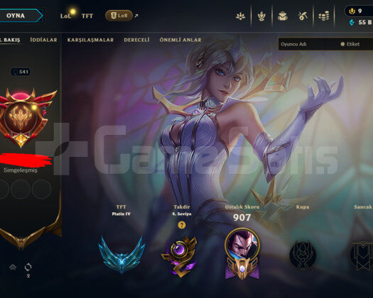 541 LEVEL / 344 SKIN / FULL HERO / +MAIL / +TEL