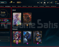 541 LEVEL / 344 SKIN / FULL HERO / +MAIL / +TEL
