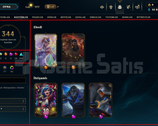 541 LEVEL / 344 SKIN / FULL HERO / +MAIL / +TEL