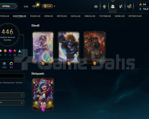 488 LEVEL / 446 SKIN / FULL HERO / +MAIL