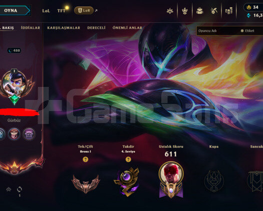 488 LEVEL / 446 SKIN / FULL HERO / +MAIL