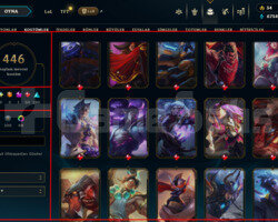 488 LEVEL / 446 SKIN / FULL HERO / +MAIL