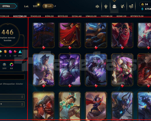 488 LEVEL / 446 SKIN / FULL HERO / +MAIL