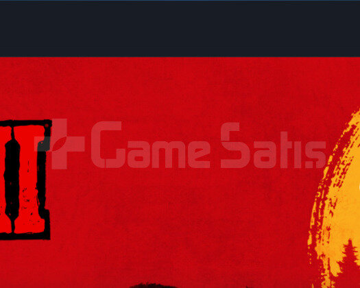 GTA5 RDR2 FC24 CS2 PRİME