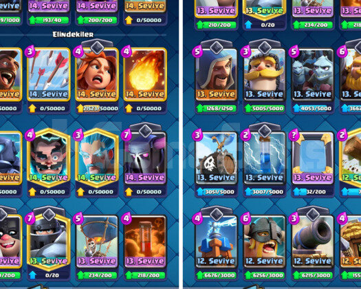 7181 KUPA & 15 MAX KART | 65 EMOJİ - 46 LV CR
