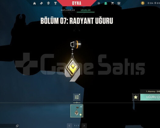2x Radiant uğurluklu Boş hesap