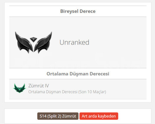 GEÇEN SEZON ZÜMRÜT / DERECELİ HAZIR / TR