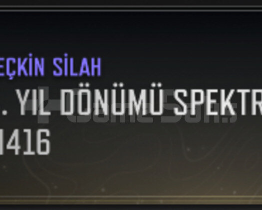 PUBG PLUS 1800G COIN 67 LEVEL 4. YIL DONUMU M416