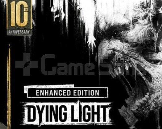 DYİNG LİGHT+DLC+ÖMÜRLÜK GARANTİ