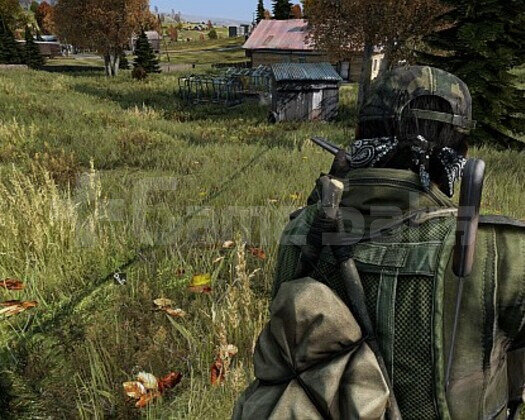 DAYZ + ÖMÜRLÜK GARANTİ