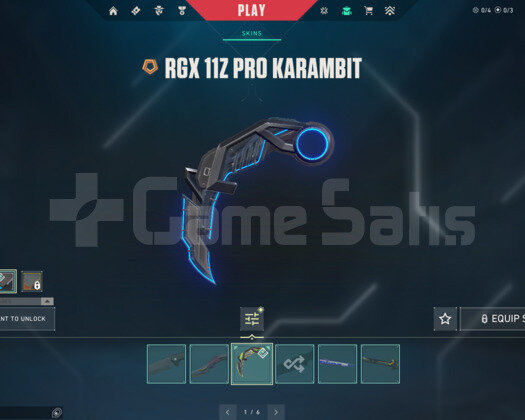 RGX PRO KARAMBT/CHAMPION 24/KURONAMI MAİL HESAP