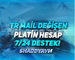 TR - MAİL DEĞİŞEN - PLATİN  2 HESAP - 7/24 DESTEK