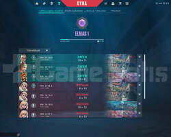 Diamond 1 Nick değiştirme Hakkı var.