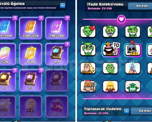 7024 KUPA & 50+ MAX KART | 14442 TAŞ - 48 LV CR