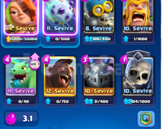 4 EVRİMLİ 6500 KUPA TEMİZ HESAP