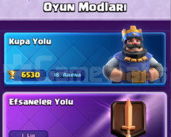 4 EVRİMLİ 6500 KUPA TEMİZ HESAP