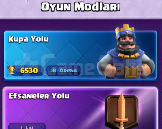 4 EVRİMLİ 6500 KUPA TEMİZ HESAP