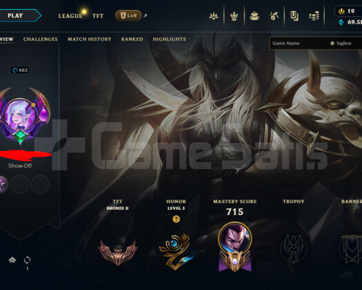 483 LEVEL / 320 SKIN / FULL HERO / +MAIL / +TEL