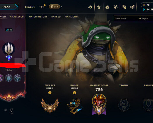 586 LEVEL / 493 SKIN / FULL HERO / +MAIL /KING RAM