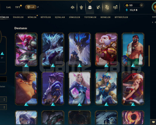TR 42 SKİN UNRANKED HESAP
