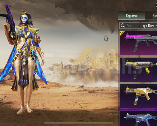 ORTA DERECE DE HESAPTIR EŞE DOSTA GİDER