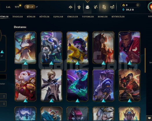 TR | 36 SKİN | UNRANKED | 29 K ÖZ