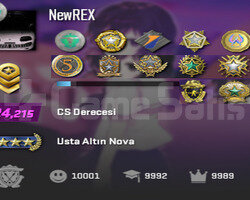 12 MADALYA ILK MAIL 30K ÖVGÜ 6.6K SAAT 50 LVL ACC
