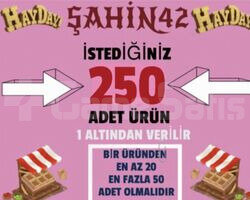 İSTEDİĞİNİZ 250 KAMYON ÜRÜNÜ