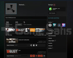 580 SAAT RUST PUBG PLUS DAYZ DOLU OYUNLU